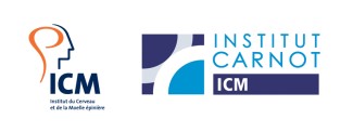 Les logos de l'Institut Carnot et de l’Institut du Cerveau